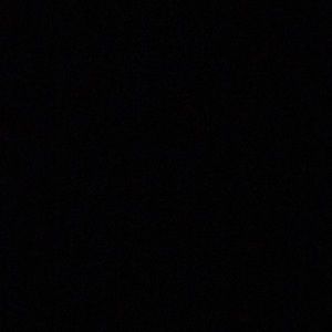 Meet your Posher, Damon